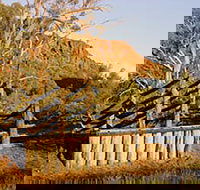 Illamurta Springs Conservation Reserve - Newcastle Accommodation