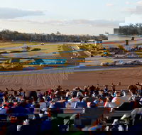 Ipswich Motorsport Precinct - New Castle Tourism