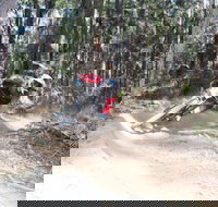 Jolly Nose Mountain Bike Park - Newcastle Accommodation