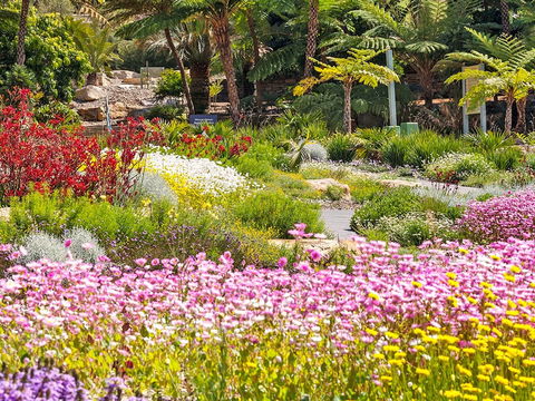 Jurassic Garden AR Experience - New Castle Tourism 0