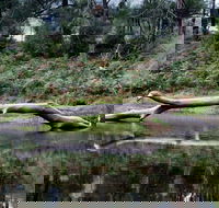 Kayaking Upper Tuross River and Bumbo Lake - New Castle Tourism