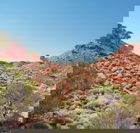 Lark Quarry Conservation Park - New Castle Tourism