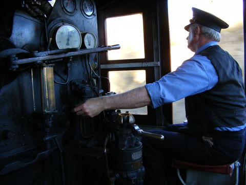 Mary Valley Rattler - New Castle Tourism 2