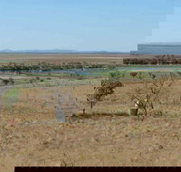 Marlgu Billabong - Newcastle Accommodation