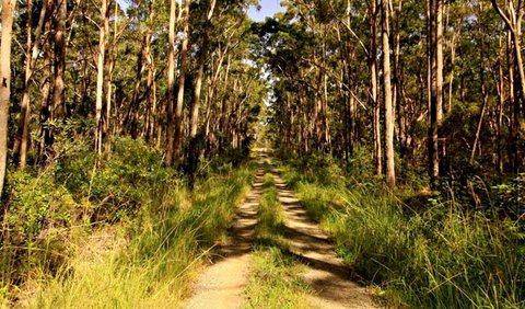 Mining Road Fire Trail, Old Gibber Road Rire Trail - Newcastle Accommodation 0