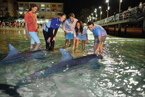 Moreton Island - New Castle Tourism 1