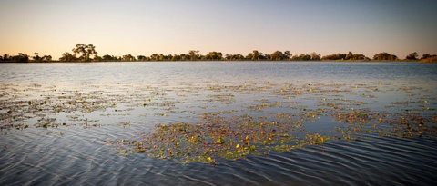 Moulamein Lake - Newcastle Accommodation 1