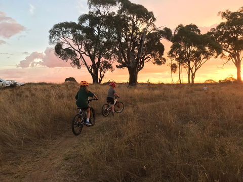 Mountain Bike Trails Tumbarumba - Newcastle Accommodation 2