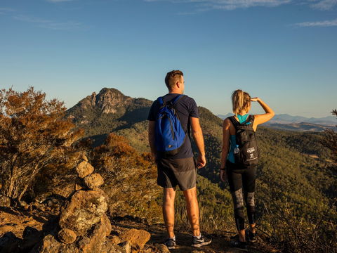 Mount Blaine Hiking Track - New Castle Tourism 0