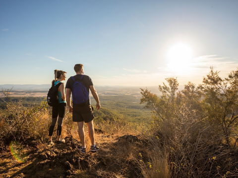 Mount Blaine Hiking Track - New Castle Tourism 1