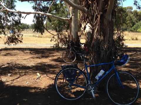 Murchison Rail Trail - New Castle Tourism 0