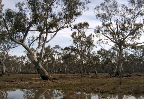 Murchison Rail Trail - New Castle Tourism 1