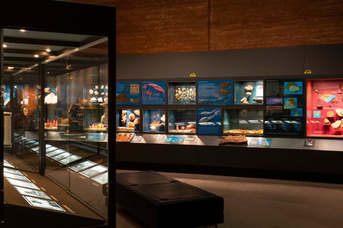 Museum Of Central Australia - Newcastle Accommodation 0