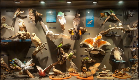 Museum Of Central Australia - Newcastle Accommodation 2