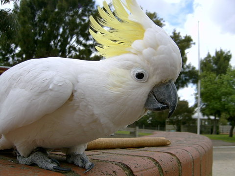 Myuna Farm - Newcastle Accommodation 1