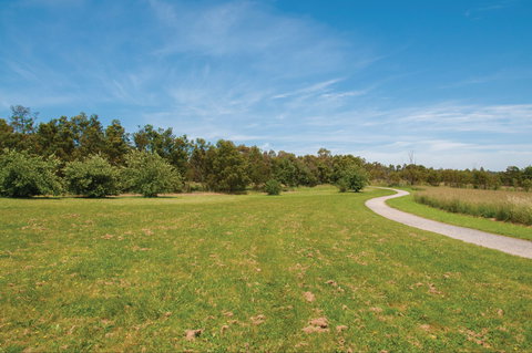 Nortons Park - Newcastle Accommodation 1