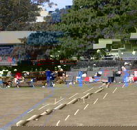 Nowra Croquet Club - New Castle Tourism