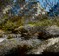 Pallaibo walking track - Newcastle Accommodation