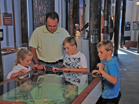 Pilliga Forest Discovery Centre - Newcastle Accommodation 1