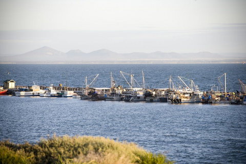 Portarlington - New Castle Tourism 0