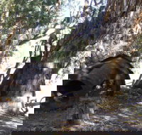 PS Providence historic site - Newcastle Accommodation