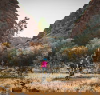 Simpsons Gap Bicycle Path - Newcastle Accommodation