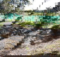 Tactical Paintball Games - Newcastle Accommodation