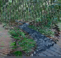 The Channon Protesters Falls Nimbin and Mount Nardi - Newcastle Accommodation