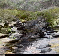 Thredbo River Track - Newcastle Accommodation