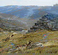 Thredbo Mountain Biking - Newcastle Accommodation
