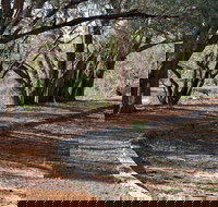 Warrego Floodplain walking track - Newcastle Accommodation