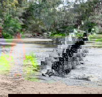 Warrandyte River Reserve - New Castle Tourism