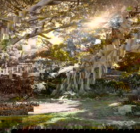 Wendy Whiteley's Secret Garden - New Castle Tourism