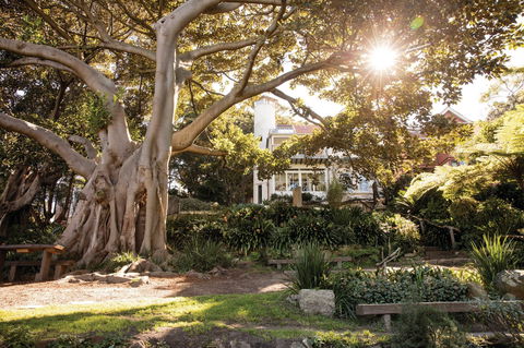 Wendy Whiteley's Secret Garden - New Castle Tourism 0