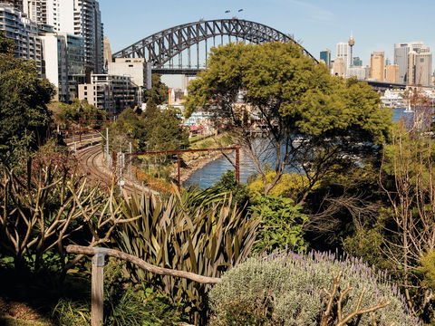 Wendy Whiteley's Secret Garden - New Castle Tourism 2