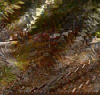 West Coast - New Castle Tourism