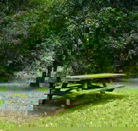 Williams River picnic area - New Castle Tourism