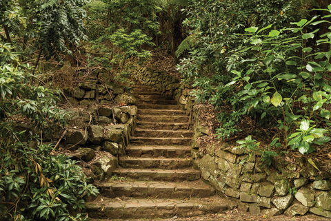 William Ricketts Sanctuary - Newcastle Accommodation 1