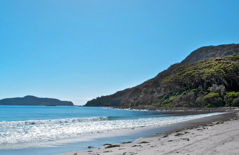 Yacaaba Headland Walking Track - Newcastle Accommodation 0