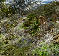 Yarrambat Park - New Castle Tourism