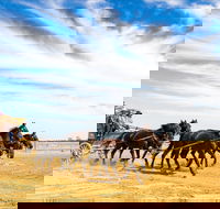 14 Day Gems of the Outback - Newcastle Accommodation