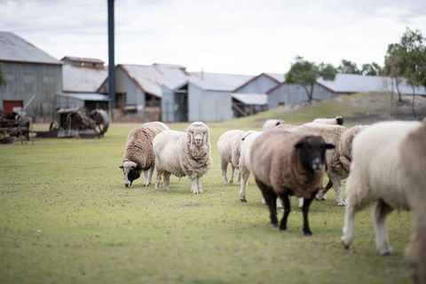 14 Day Gems Of The Outback - Newcastle Accommodation 2