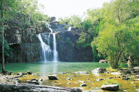Airlie Beach To Cedar Creek Falls - Newcastle Accommodation 0