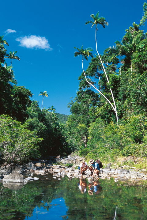 Airlie Beach To Cedar Creek Falls - Newcastle Accommodation 1