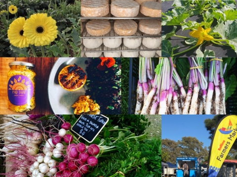 Ballina Farmers Market - Newcastle Accommodation 1