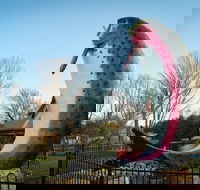 Big Trout - Newcastle Accommodation