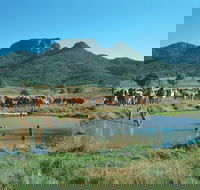 Biggenden - New Castle Tourism