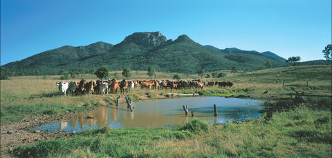 Biggenden - New Castle Tourism 0
