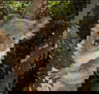 Birdland Animal Park