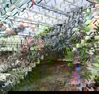 Cairns ZOOM and Wildlife Dome - Newcastle Accommodation